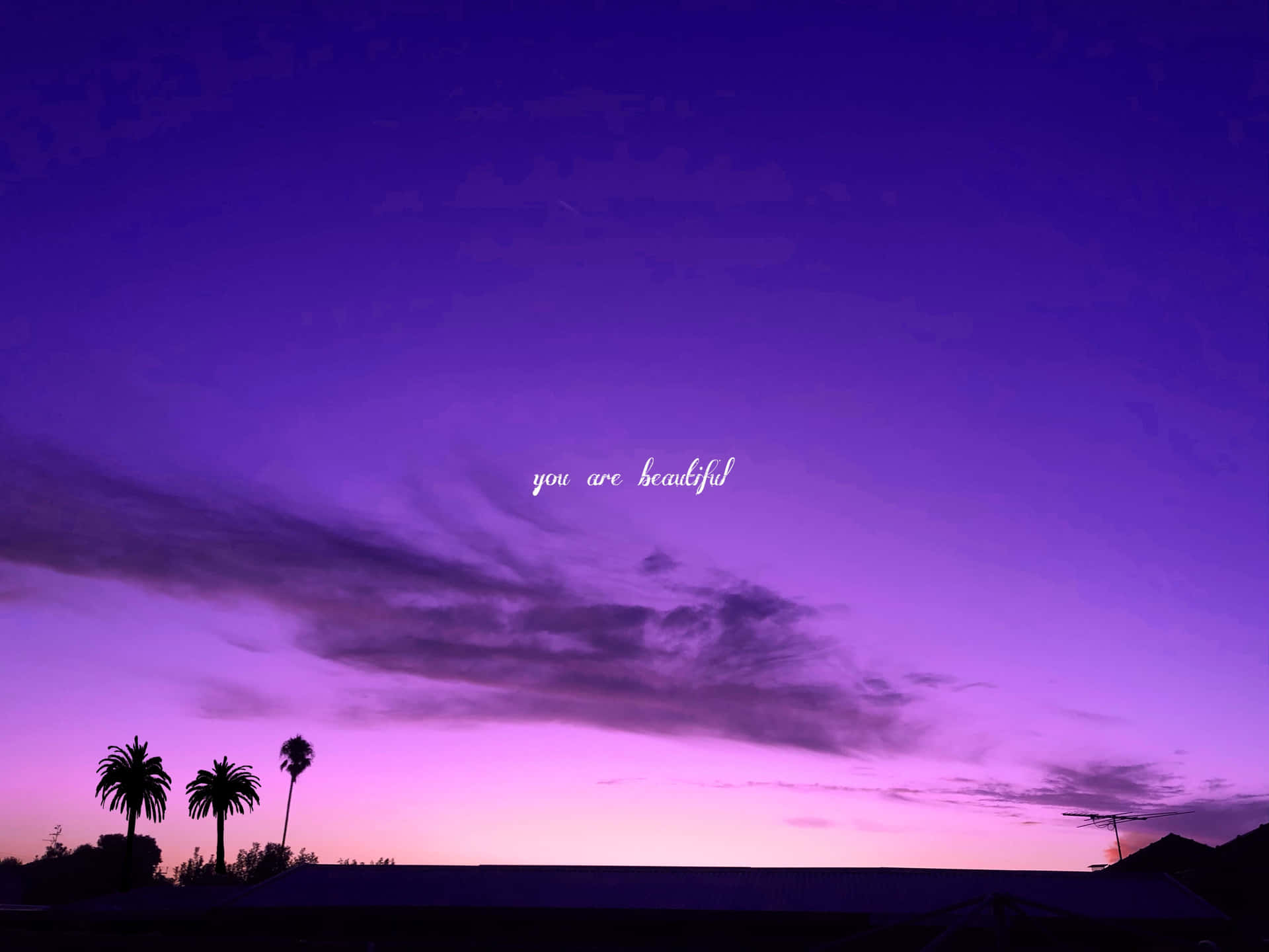 A Purple Sky With Palm Trees And The Words'you're My Sunshine' Background