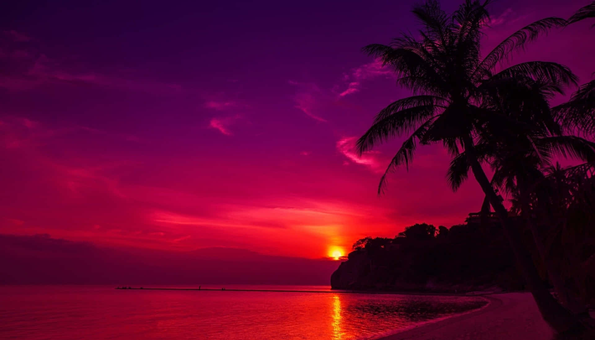 A Purple Sunset Over A Beach With Palm Trees