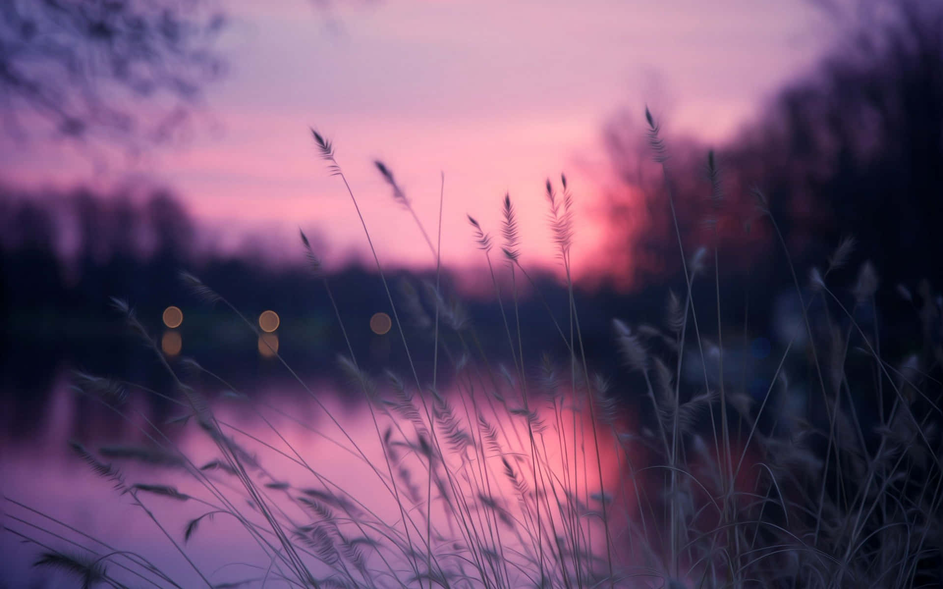 A Purple Sunset With Tall Grass And Water Background