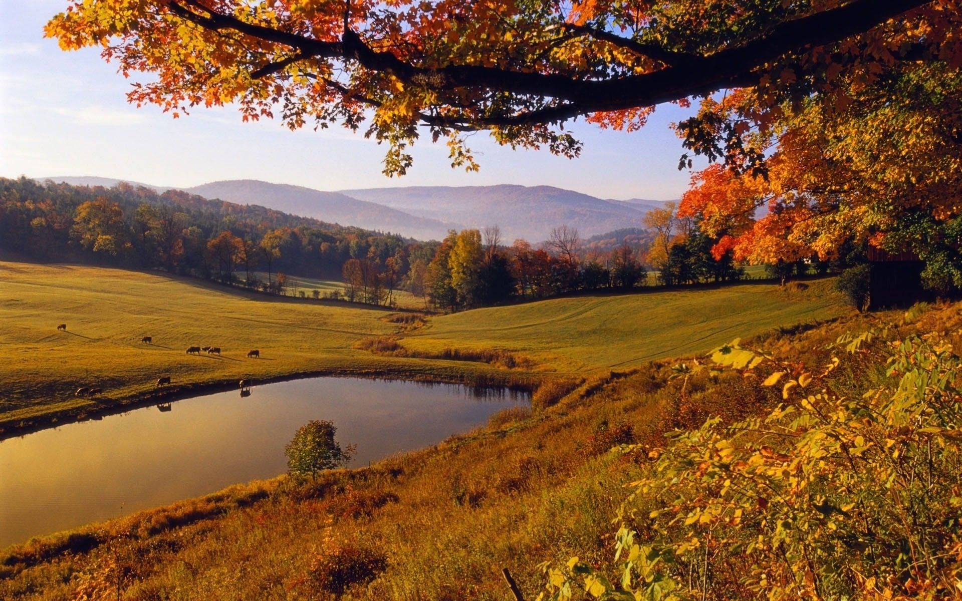 A Quiet Moment At A Fall Farm Background