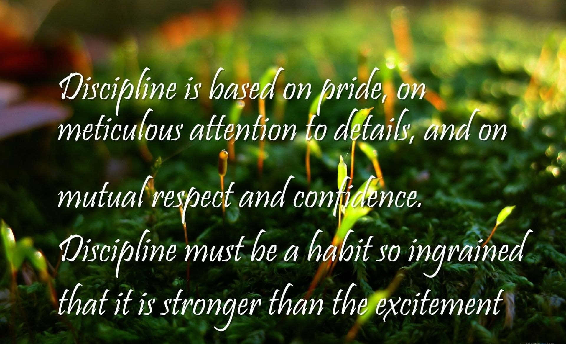 A Quote About Discipline That Says, Discipline Is Based On Pride On Meditative Attention To Detail Background