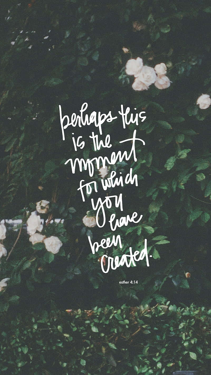 A Quote That Says Before This Is The Moment You Have Been Broken Background