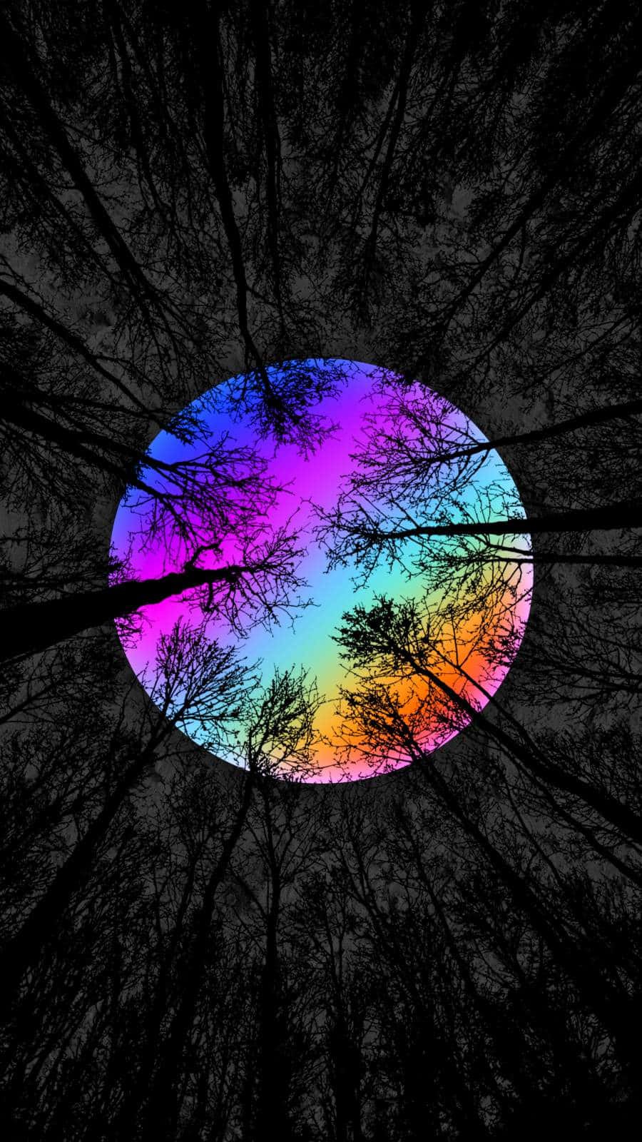 A Rainbow Colored Circle In The Middle Of A Forest Background