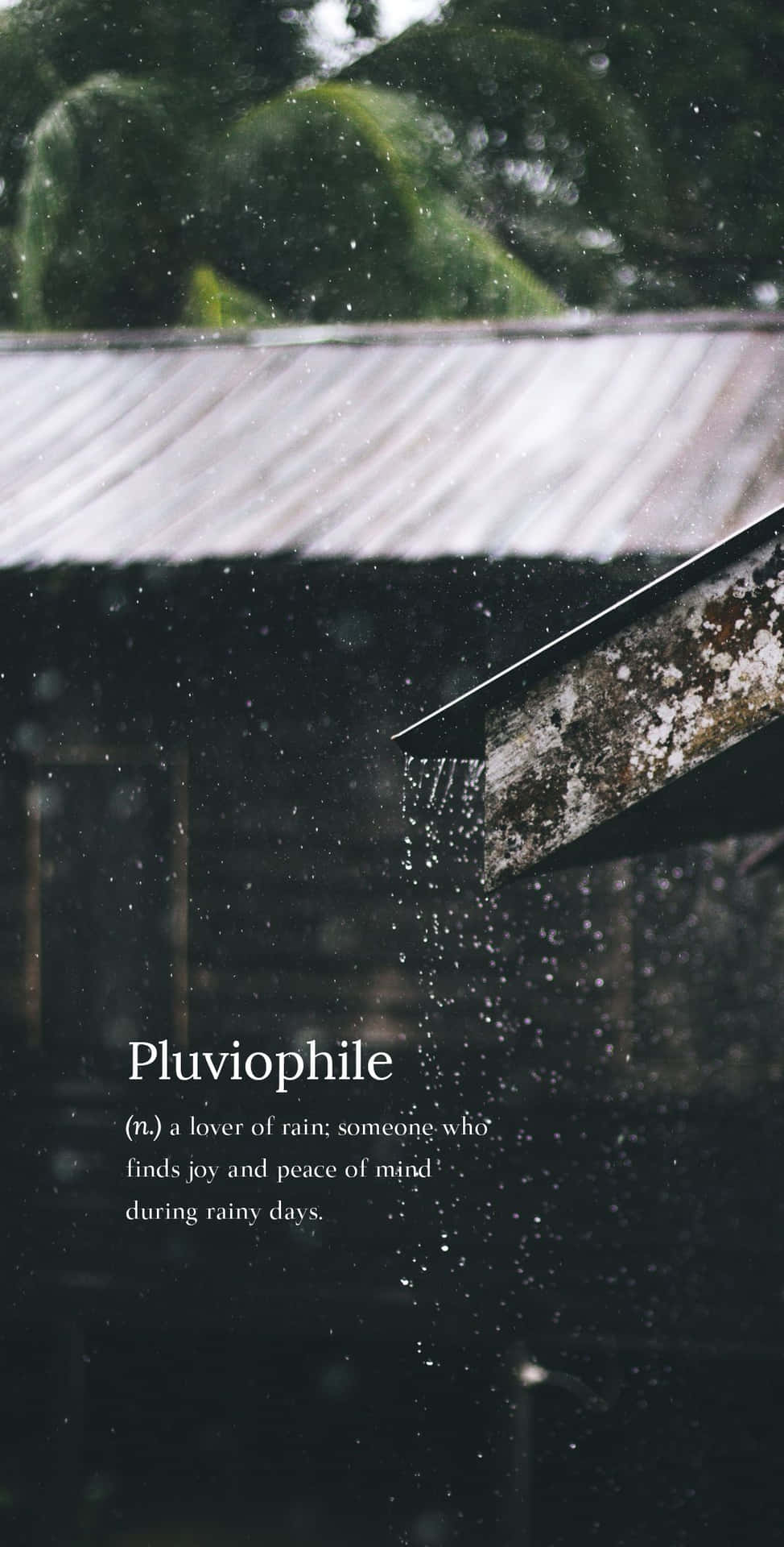 A Rainy Day With The Words Pyrophyle Background