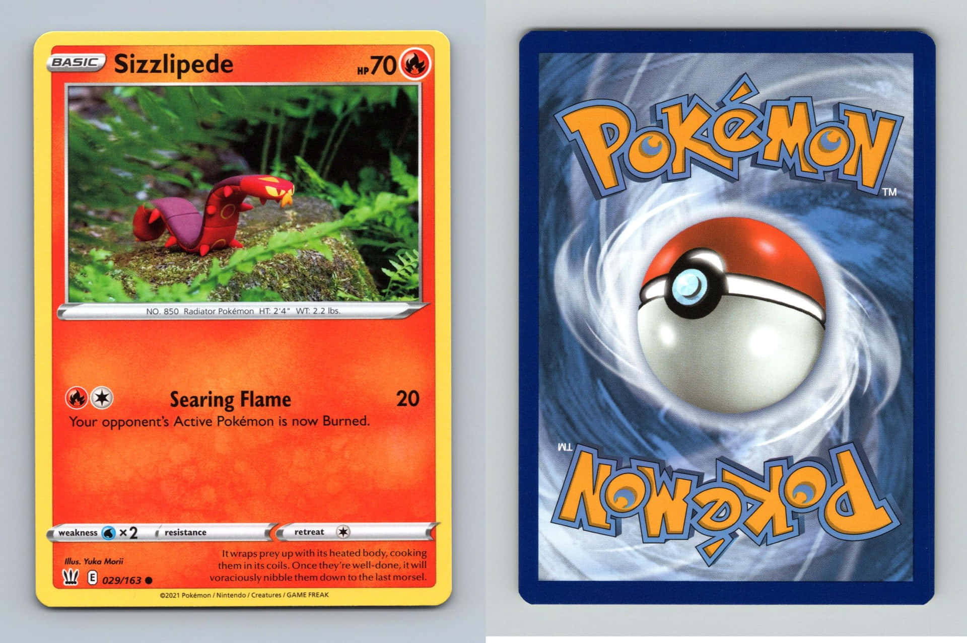 A Rare Sizzlipede Pokemon Card Background
