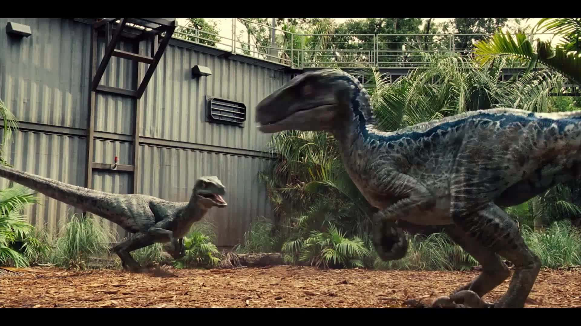 A Realistic Image Of A Dinosaur Background