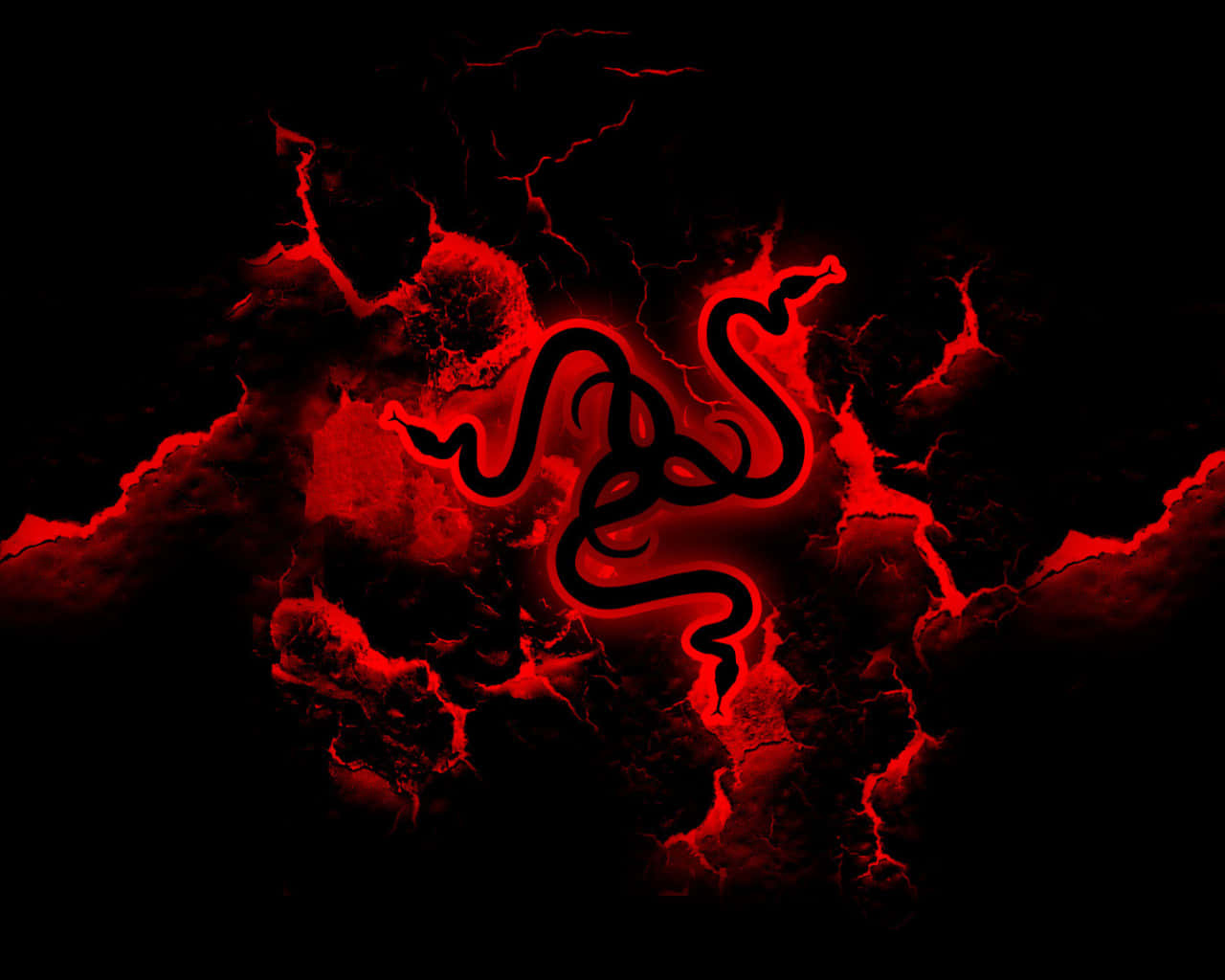 A Red And Black Dragon Logo On A Black Background Background