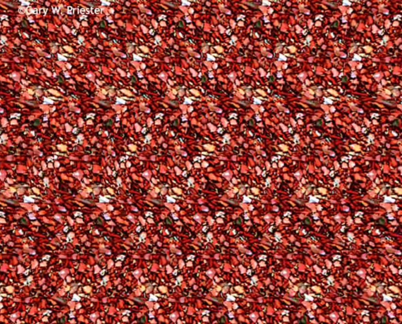 A Red And White Pattern With Pomegranate Seeds Background