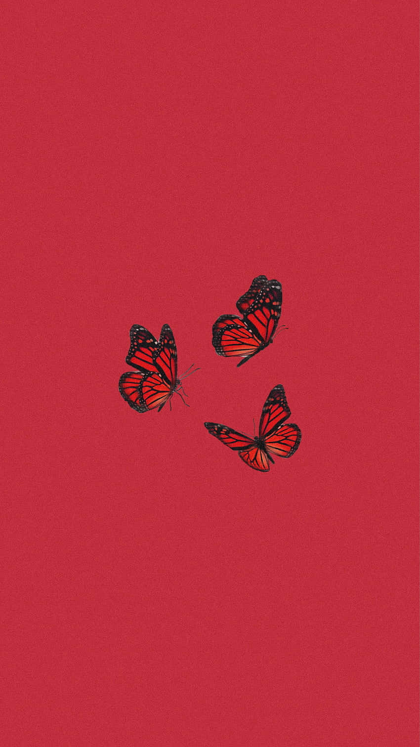 A Red Background With Three Butterflies On It Background