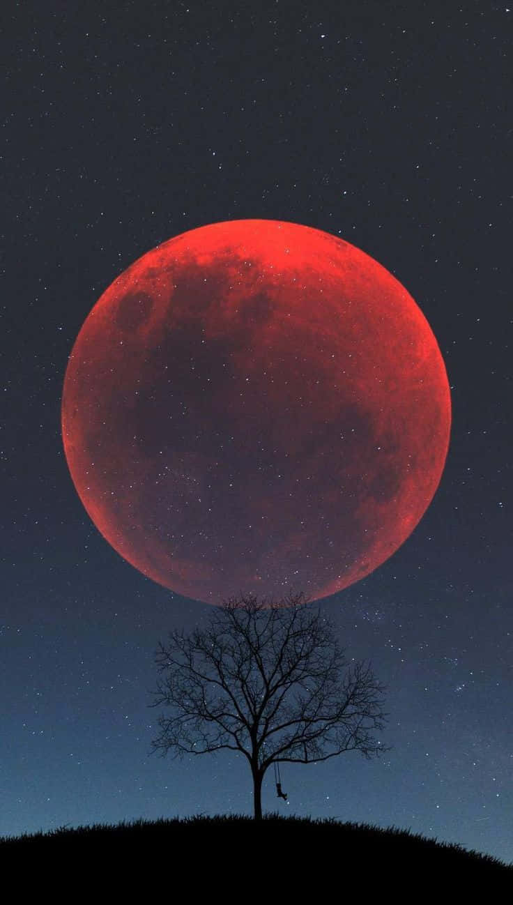 A Red Blood Moon Is Seen Over A Tree Background