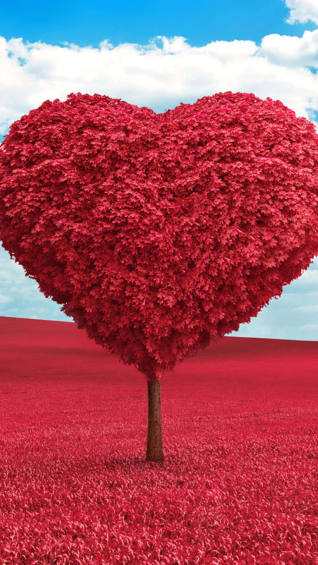 A Red Heart Shaped Tree In A Field Background