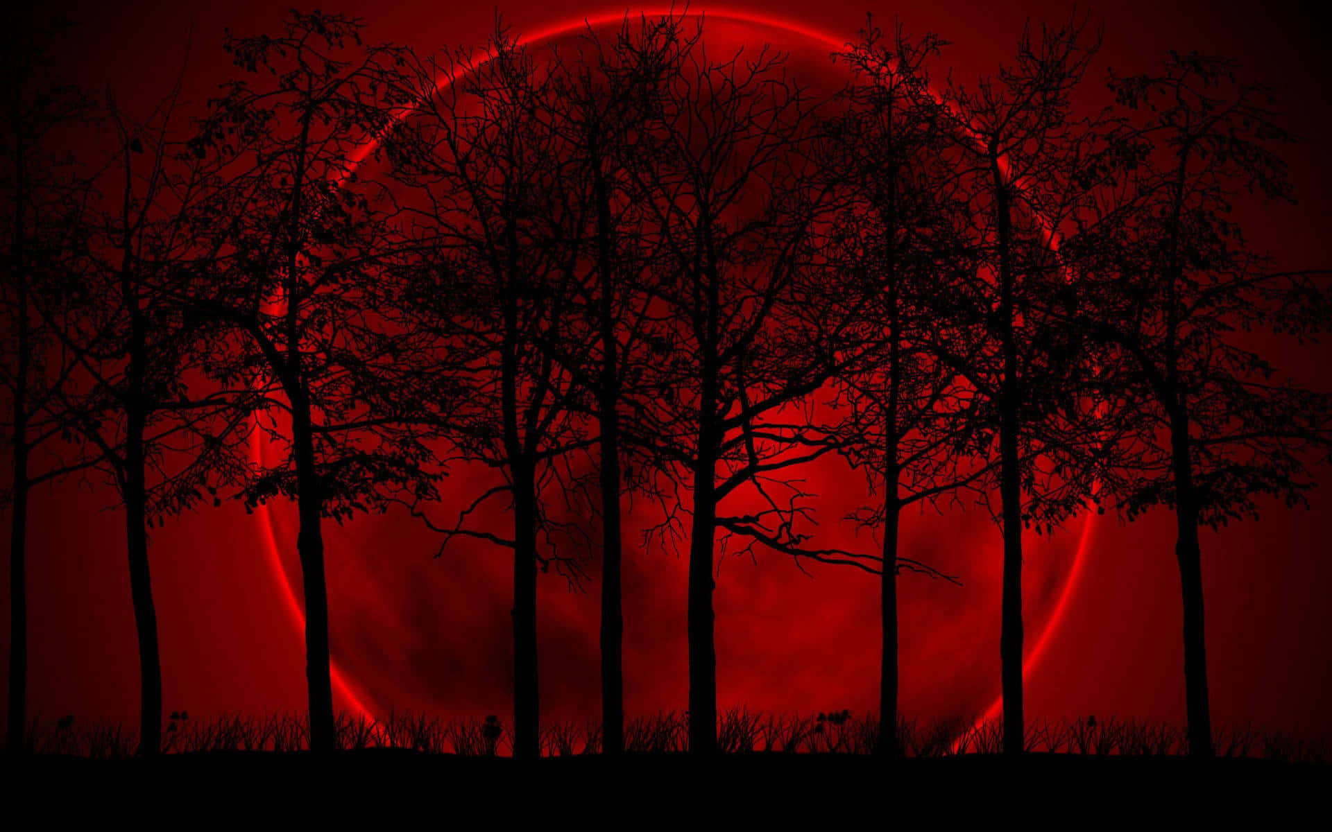 A Red Moon With Trees In The Background Background
