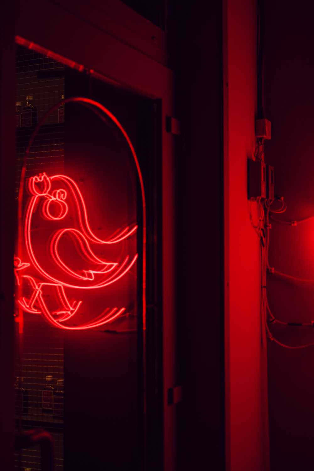A Red Neon Sign With A Bird On It Background