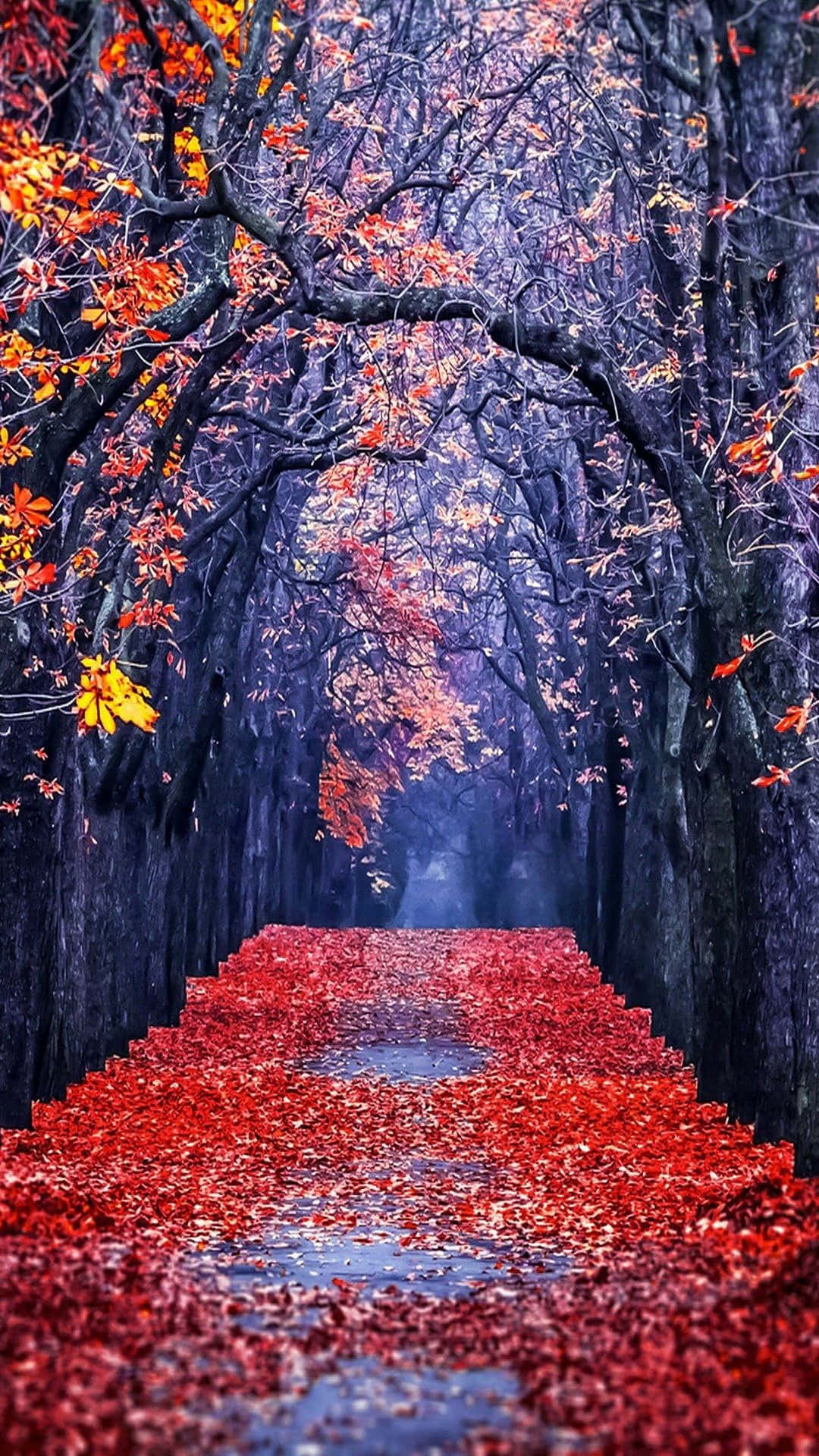 A Red Path Lined With Leaves In The Forest Background