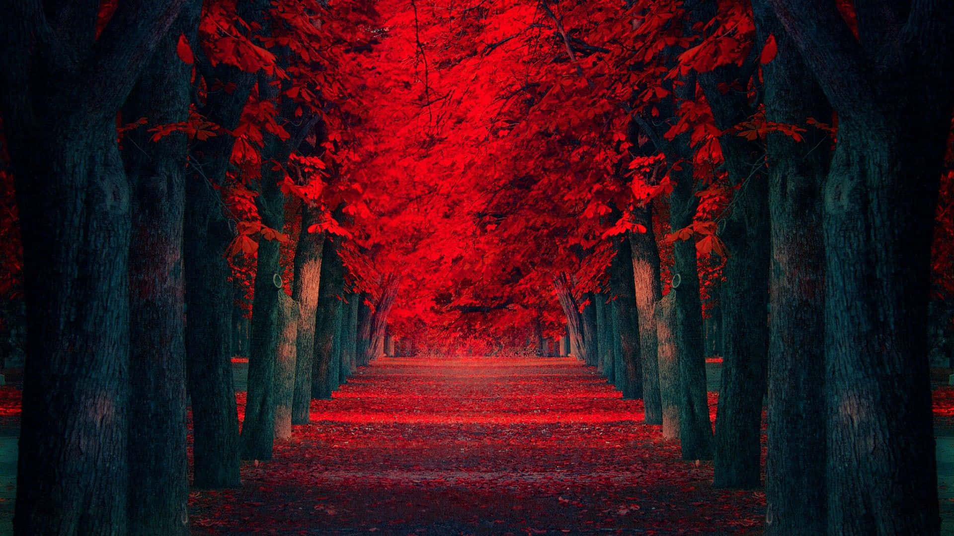 A Red Path With Trees Background
