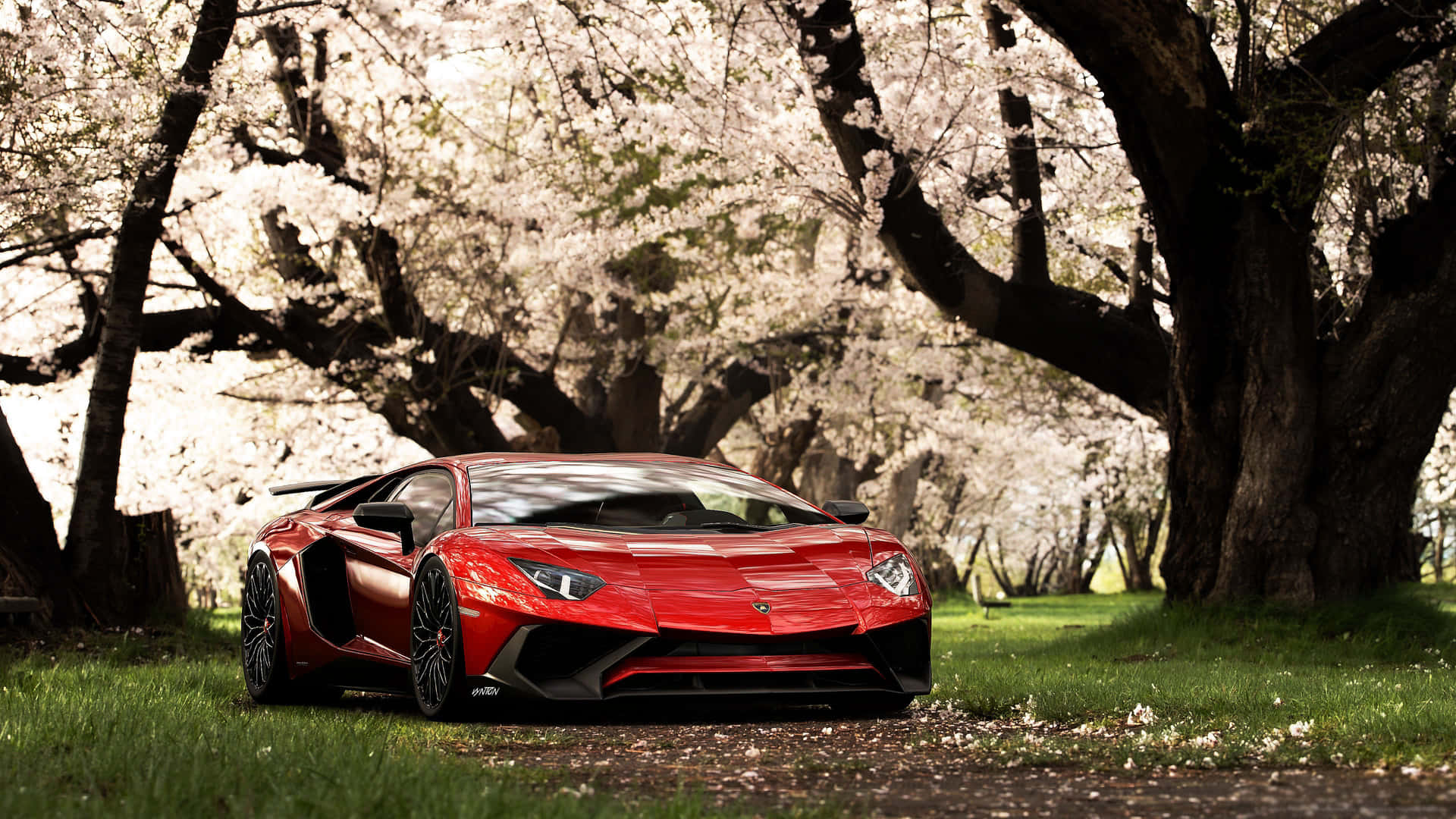 A Red Sports Car Parked In A Field With Cherry Trees Background