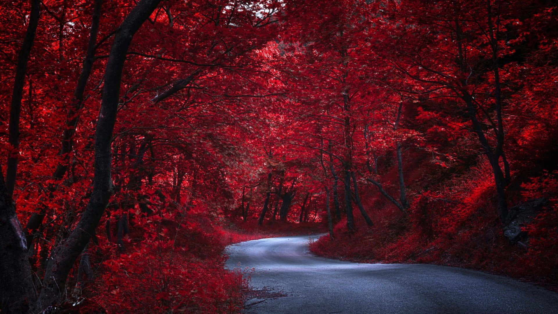 A Red Tree Stands Against A Yellow Sky Background