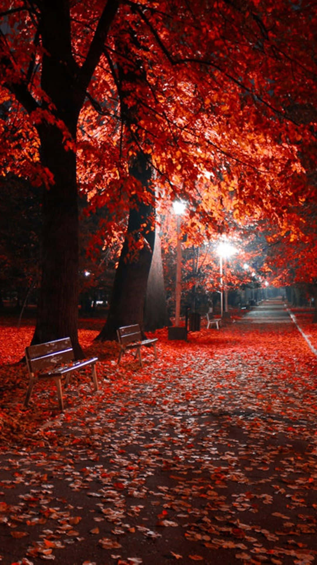 A Red Tree With Leaves Background