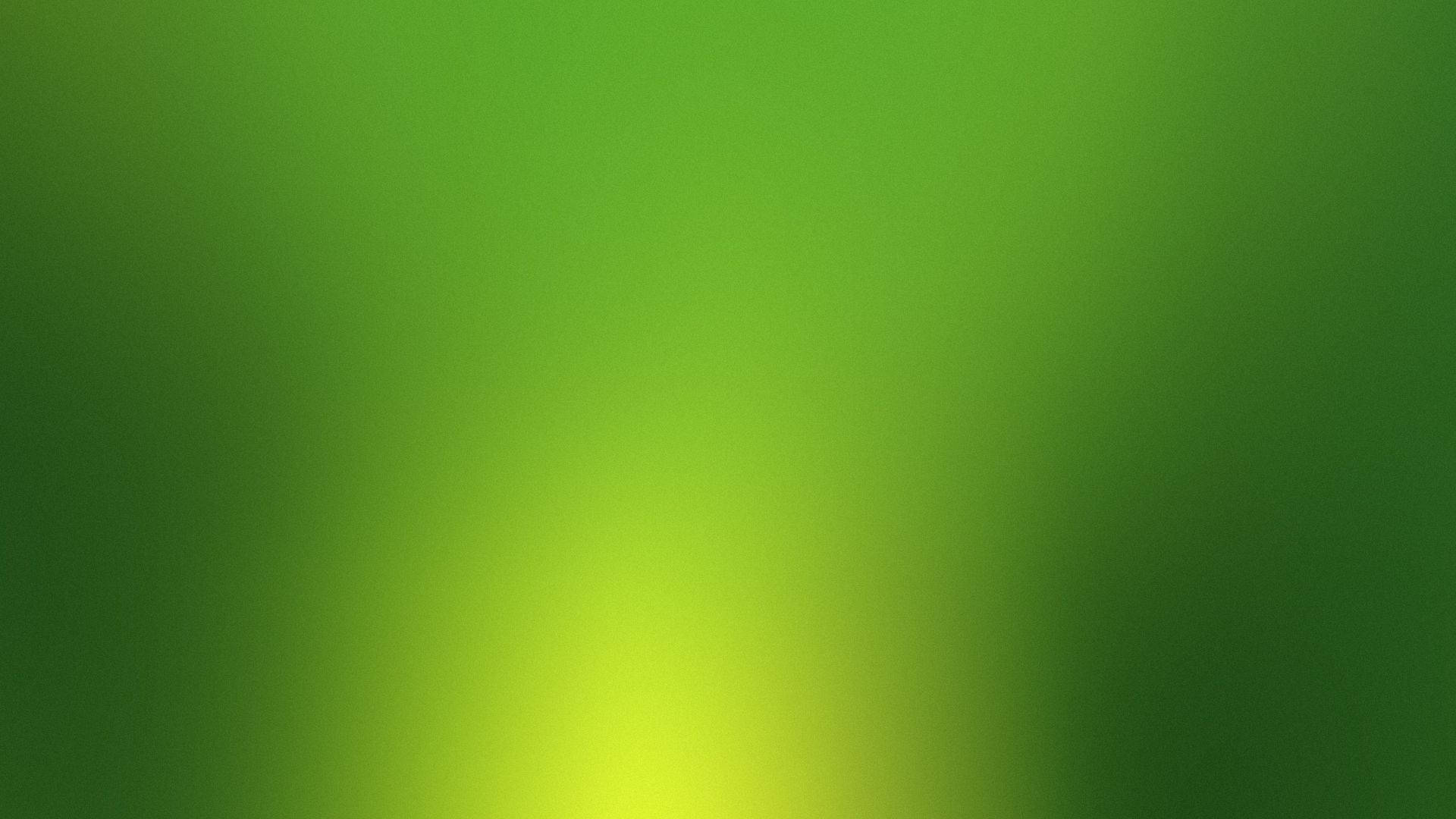 A Refreshing And Calming Plain Green Background. Background
