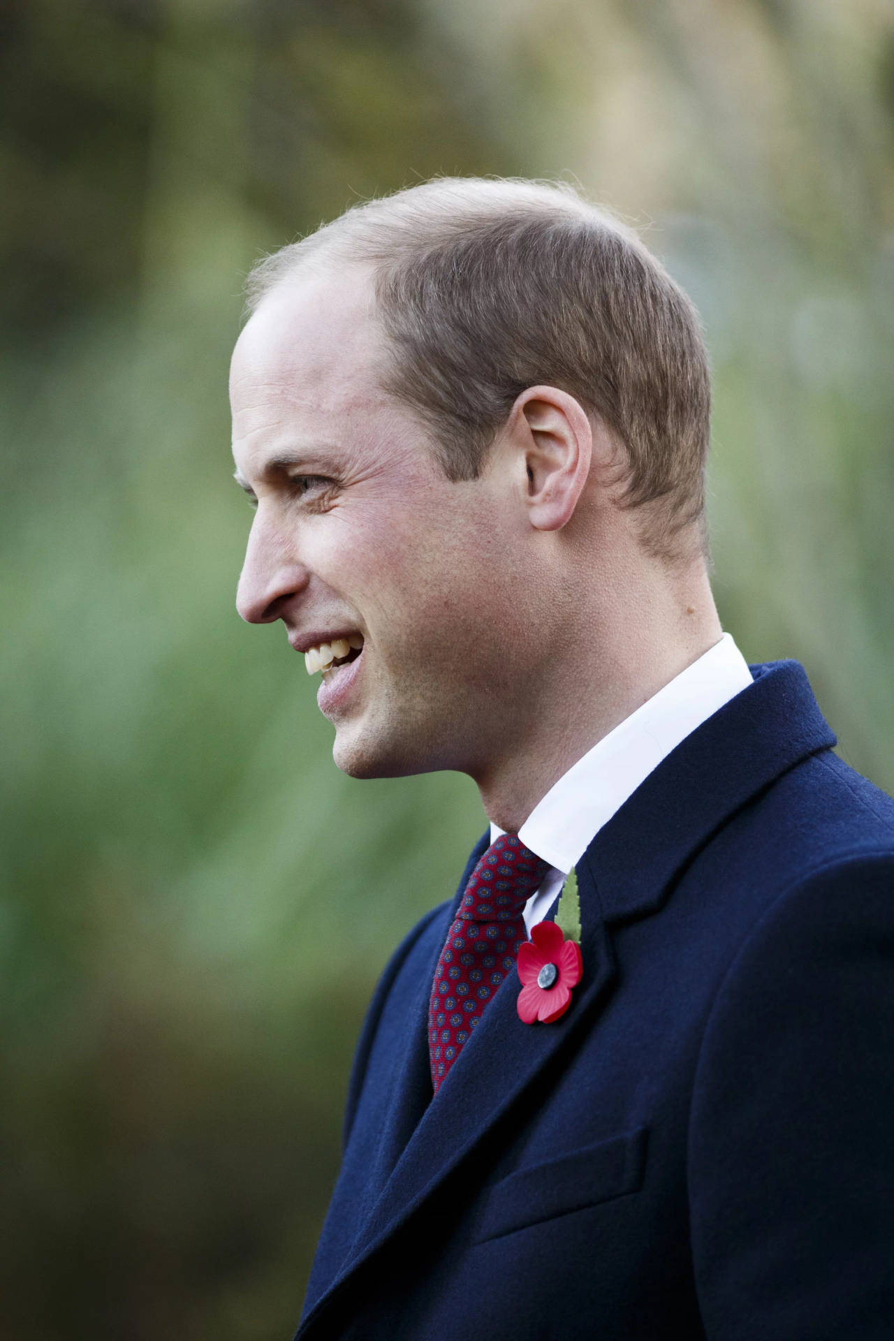 A Regal Side Profile Of Prince William Background