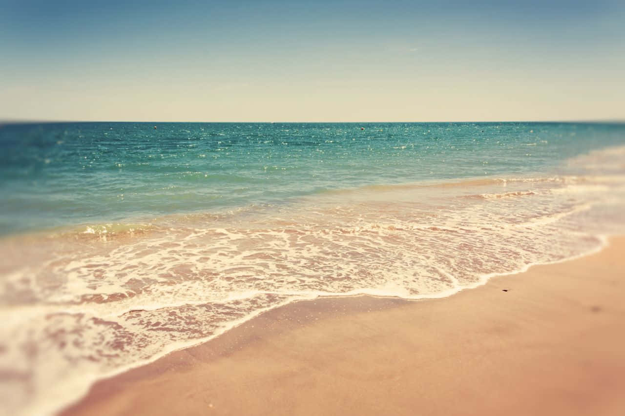 A Relaxing Beach Day Background