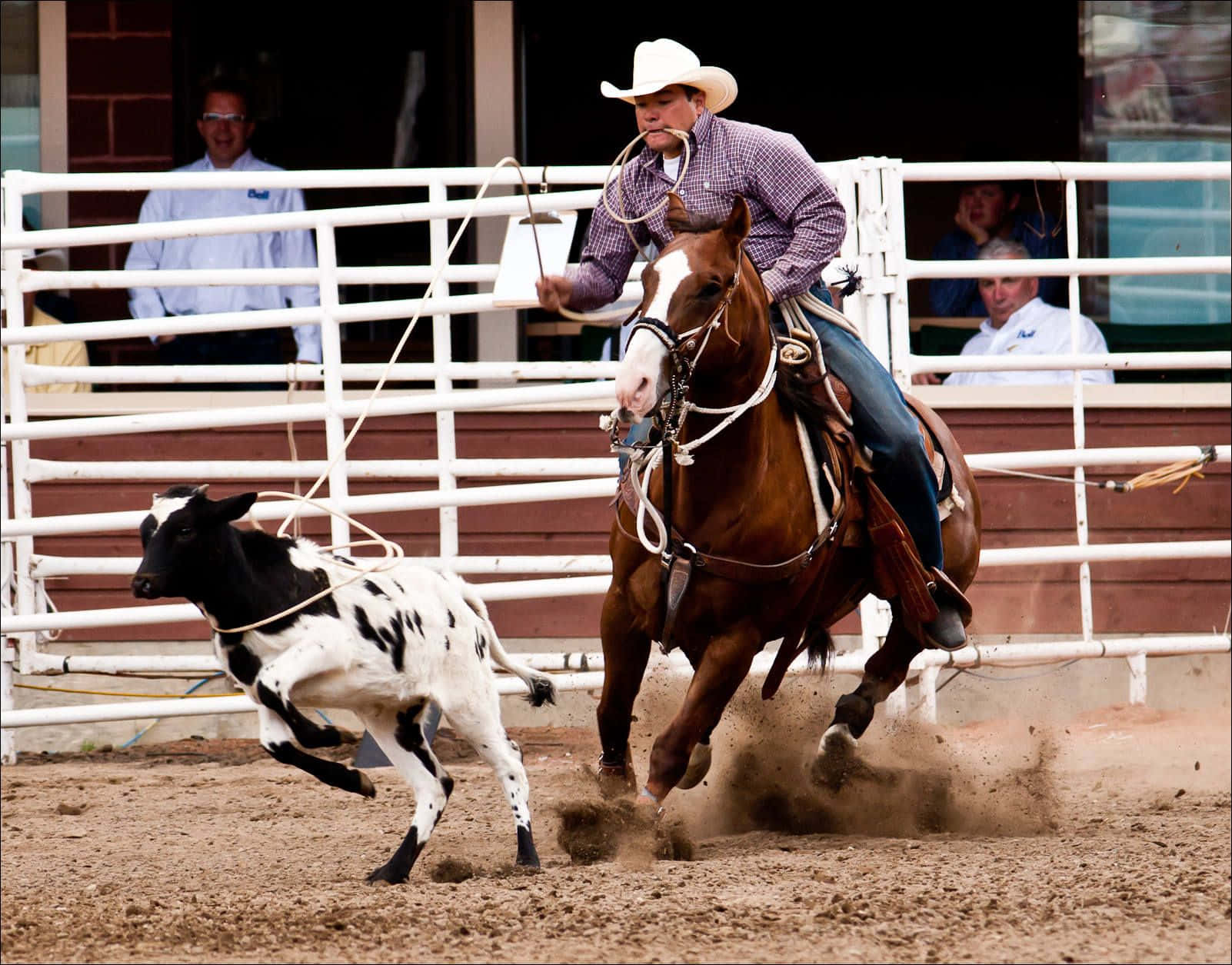 A Rider Clutching Their Cowboy Hat As They Balance On A Bucking Bronco At A Rodeo Background