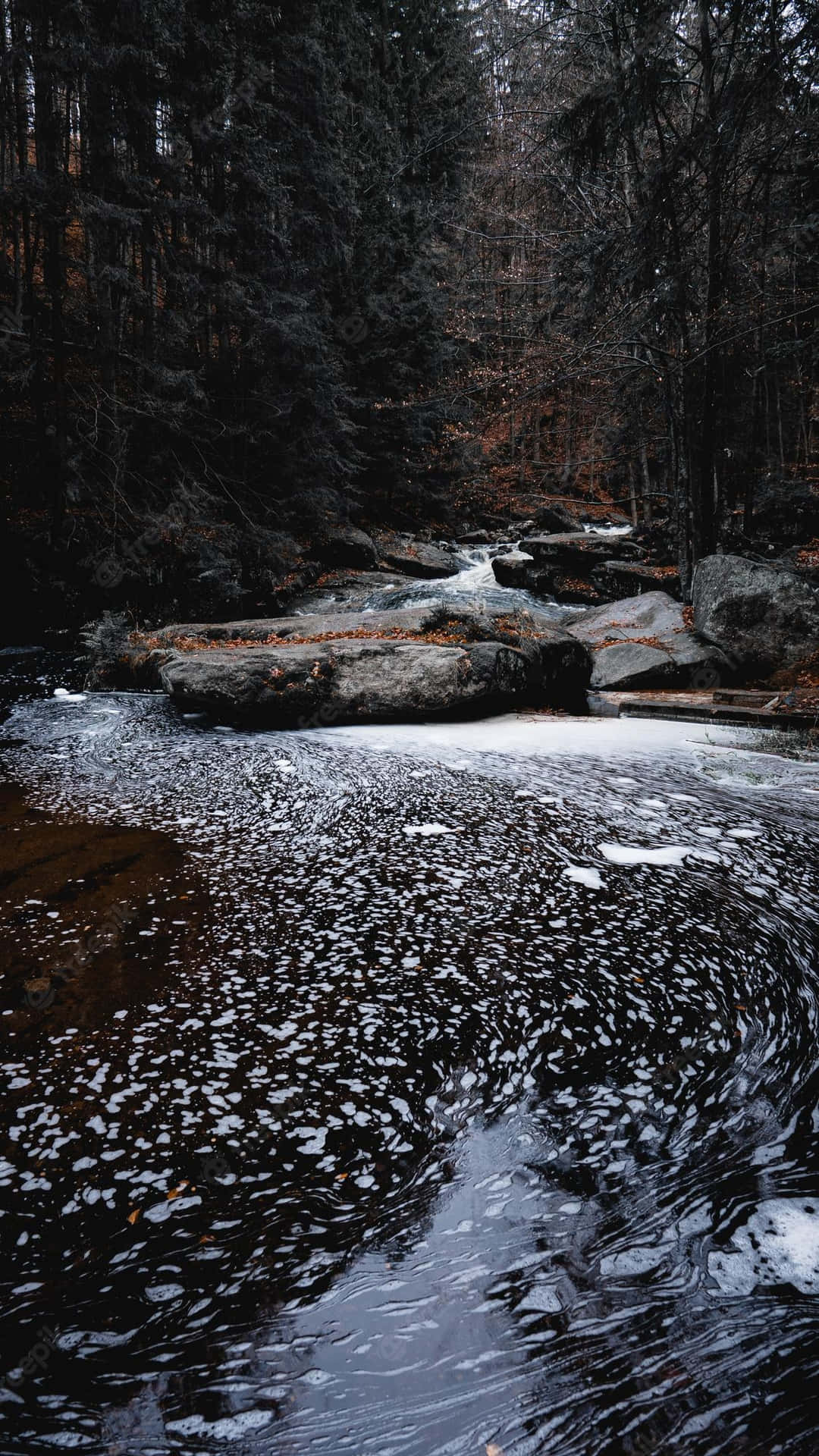 A River In The Woods Background