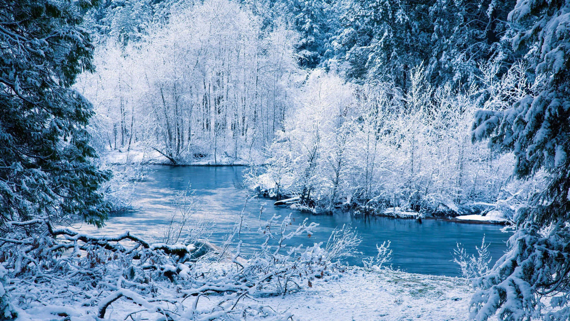 A River With Snow Covered Trees Background