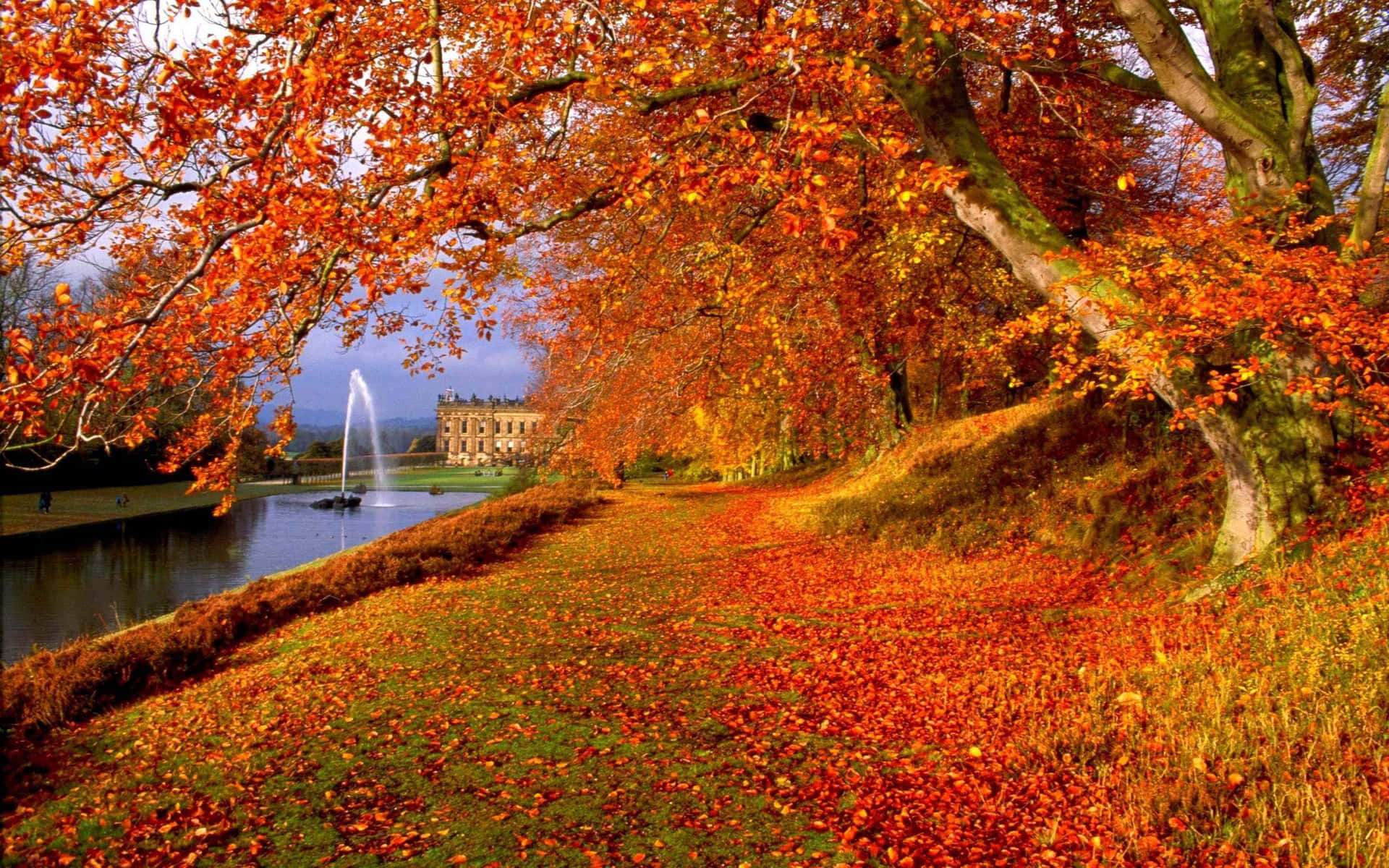 A River With Trees And A Fountain Background