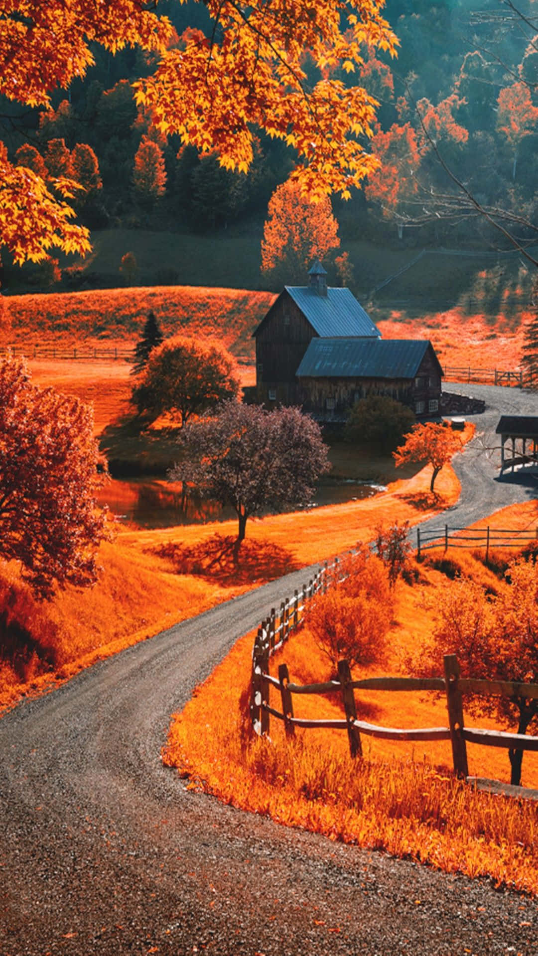 A Road With A Fence And Trees Background