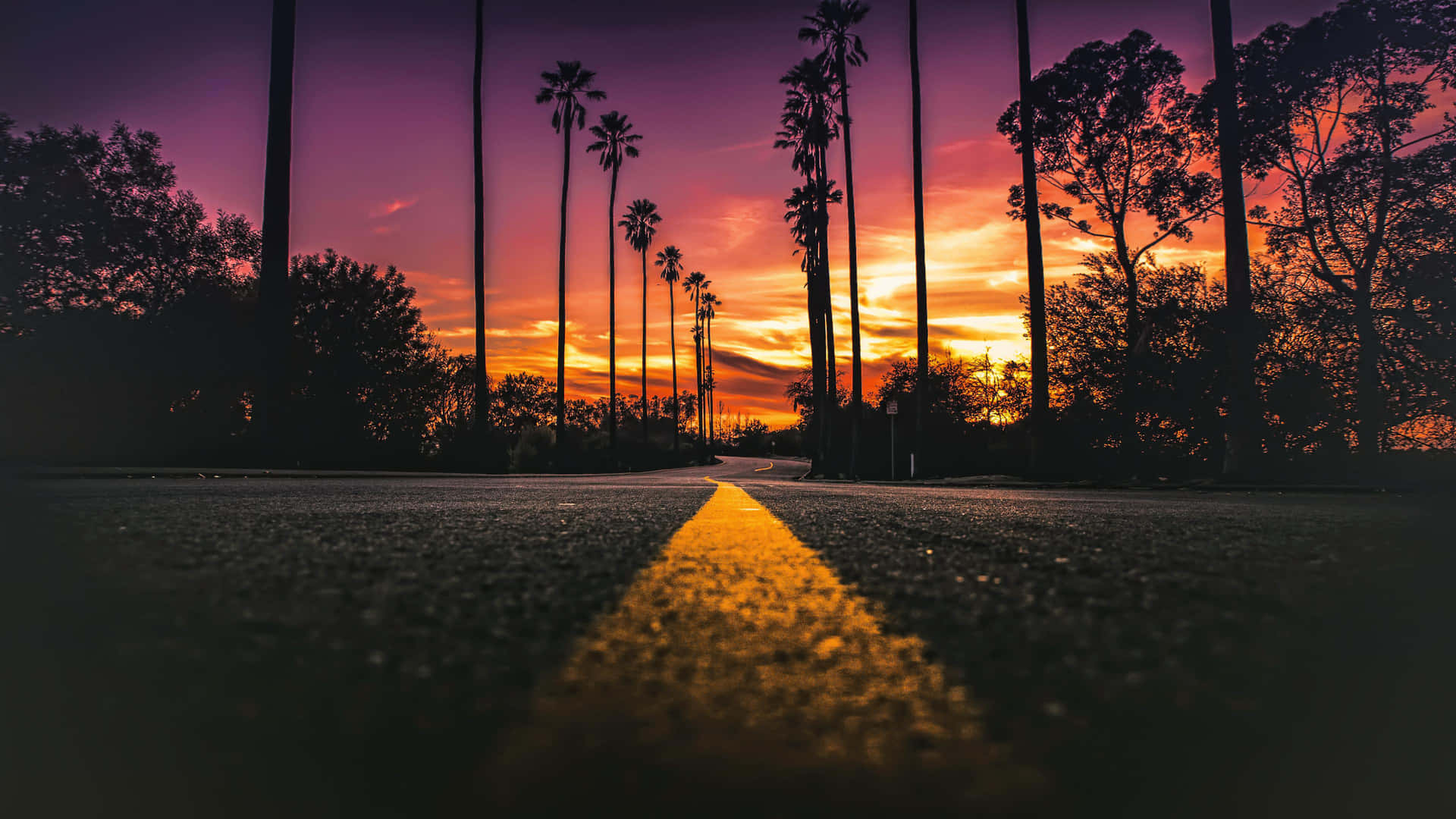 A Road With Palm Trees And A Sunset Background