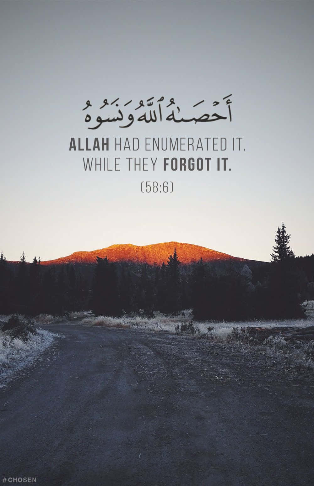 A Road With The Words Allah Has Enmity While They Forgot It Background