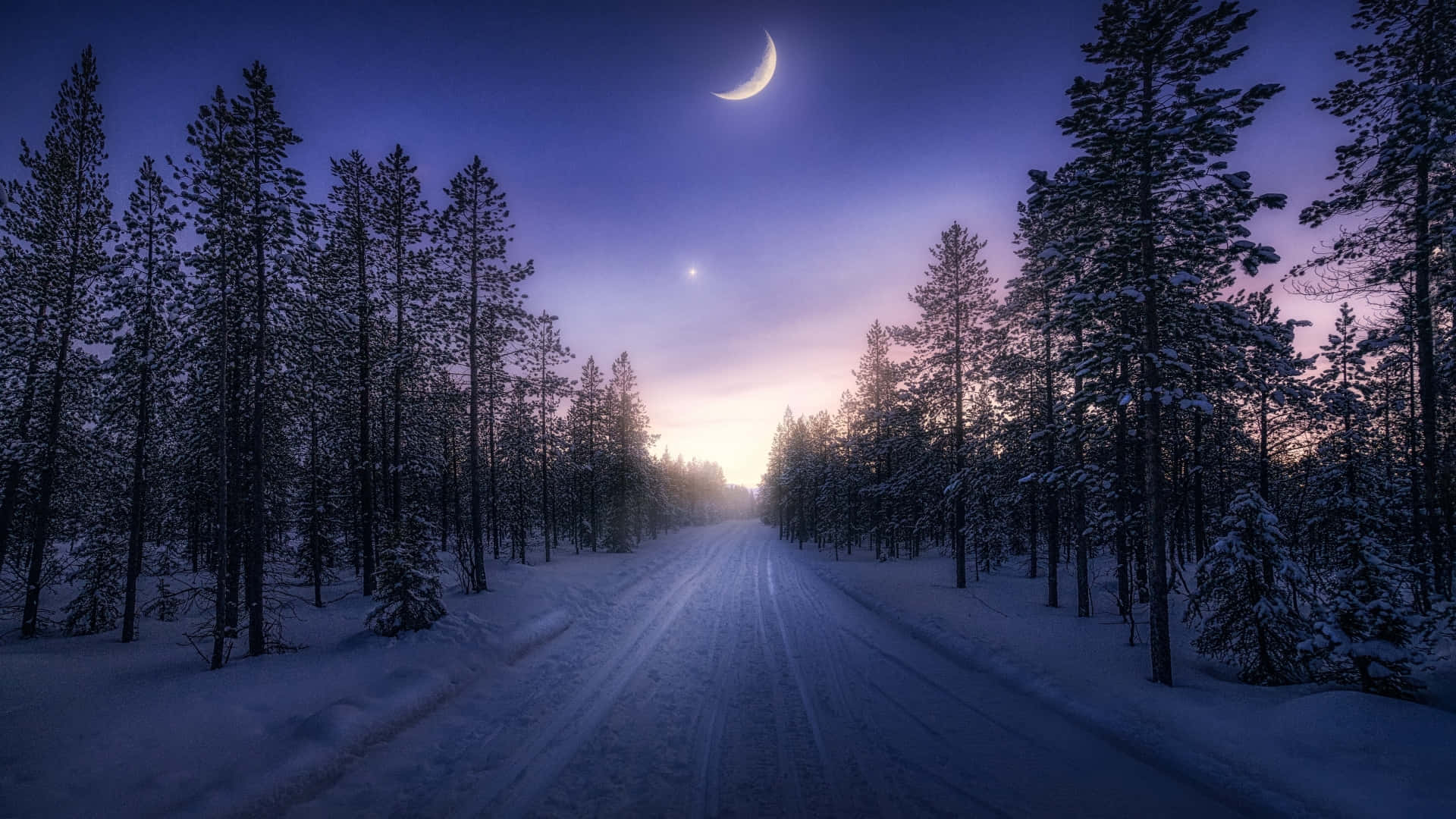 A Road With Trees And A Moon In The Sky Background