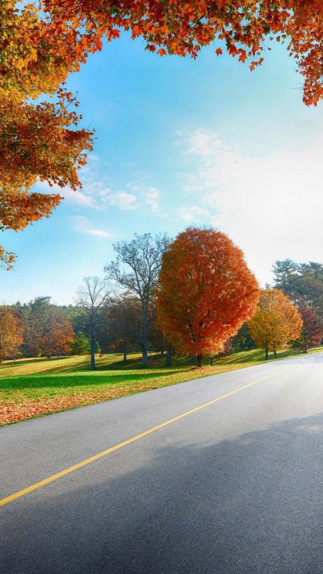 A Road With Trees In The Fall Background