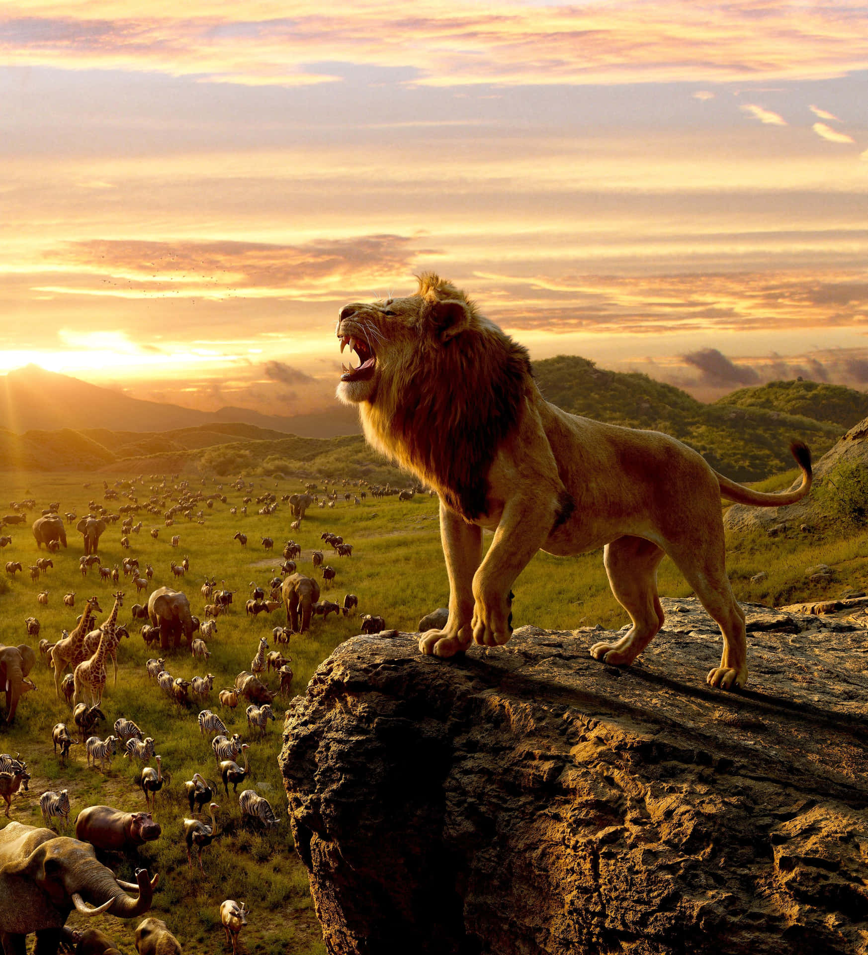 A Roaring Lion Background