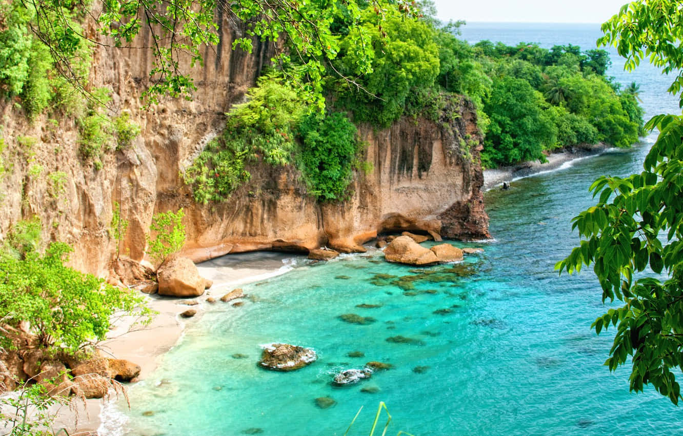A Rocky Beach With Clear Water And Green Trees Background
