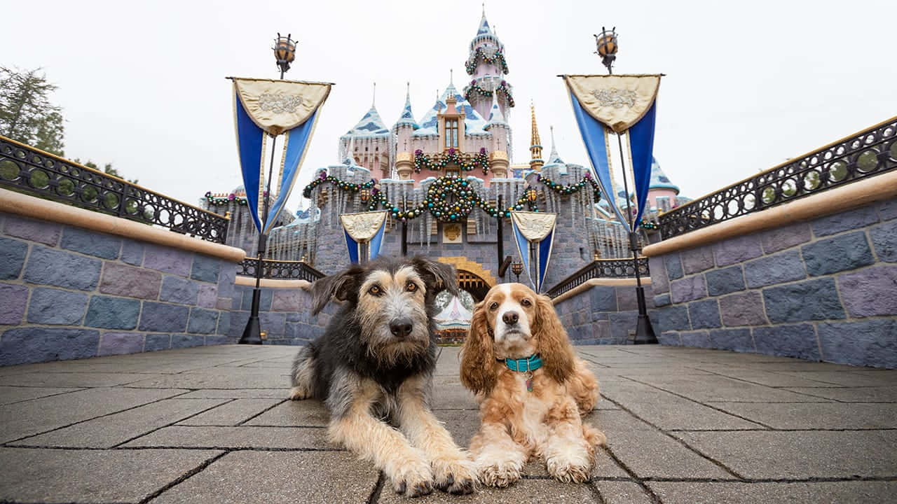 A Romantic Spaghetti Dinner With Lady And The Tramp Background