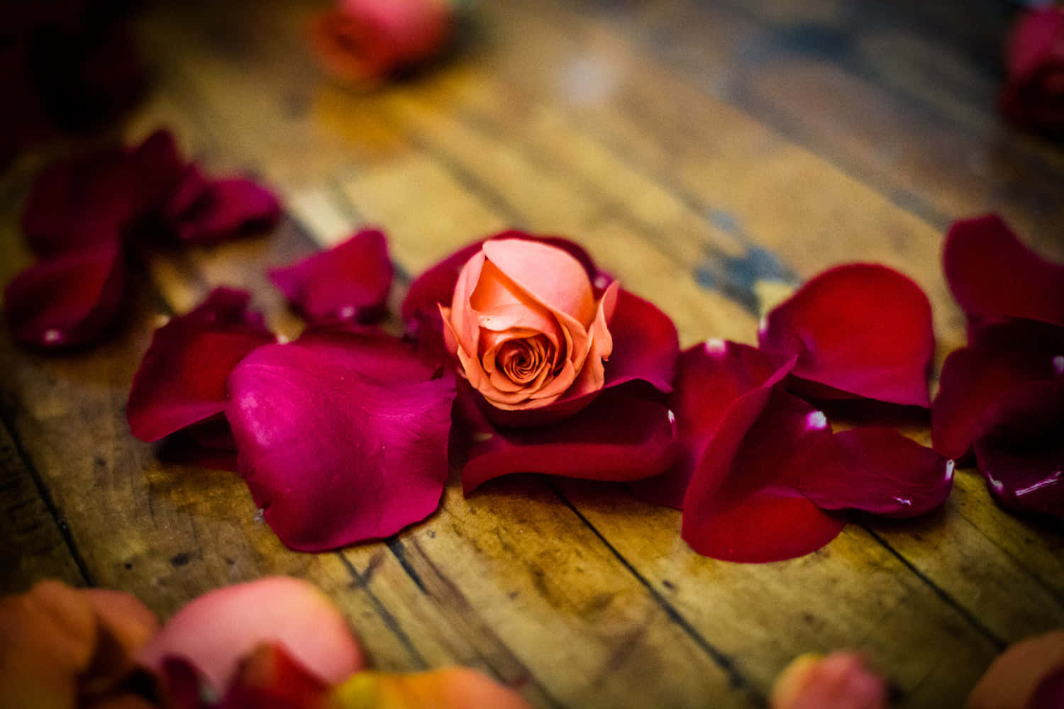 A Rose Is Sitting On A Wooden Floor Background