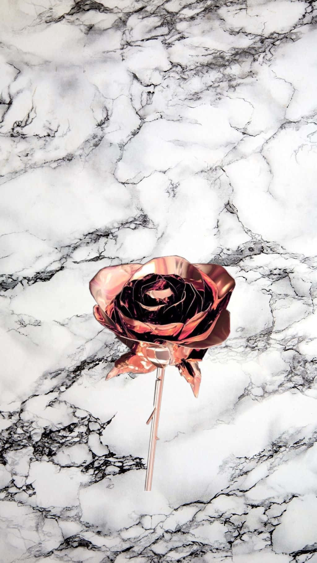 A Rose On A Marble Surface Background
