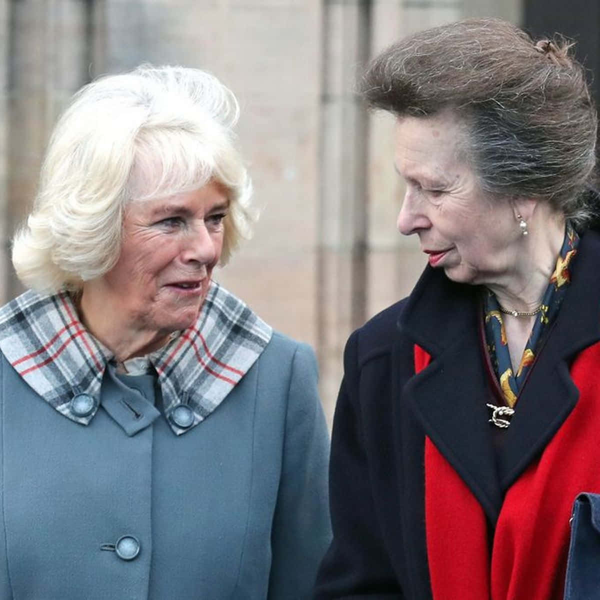 A Royal Gathering: Camilla With Princess Anne Background