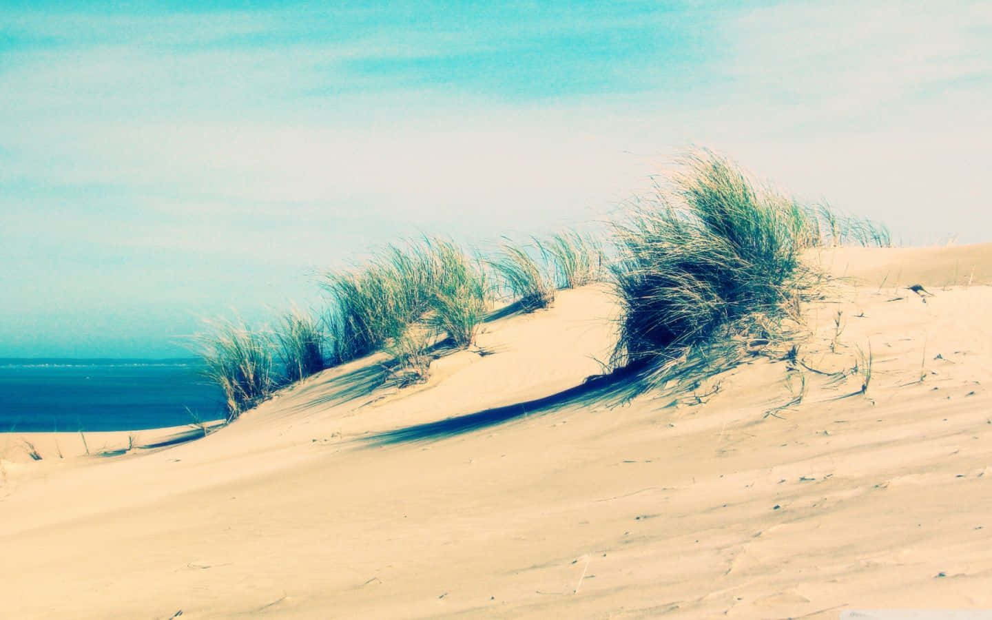 A Sand Dune With Grass On It Background
