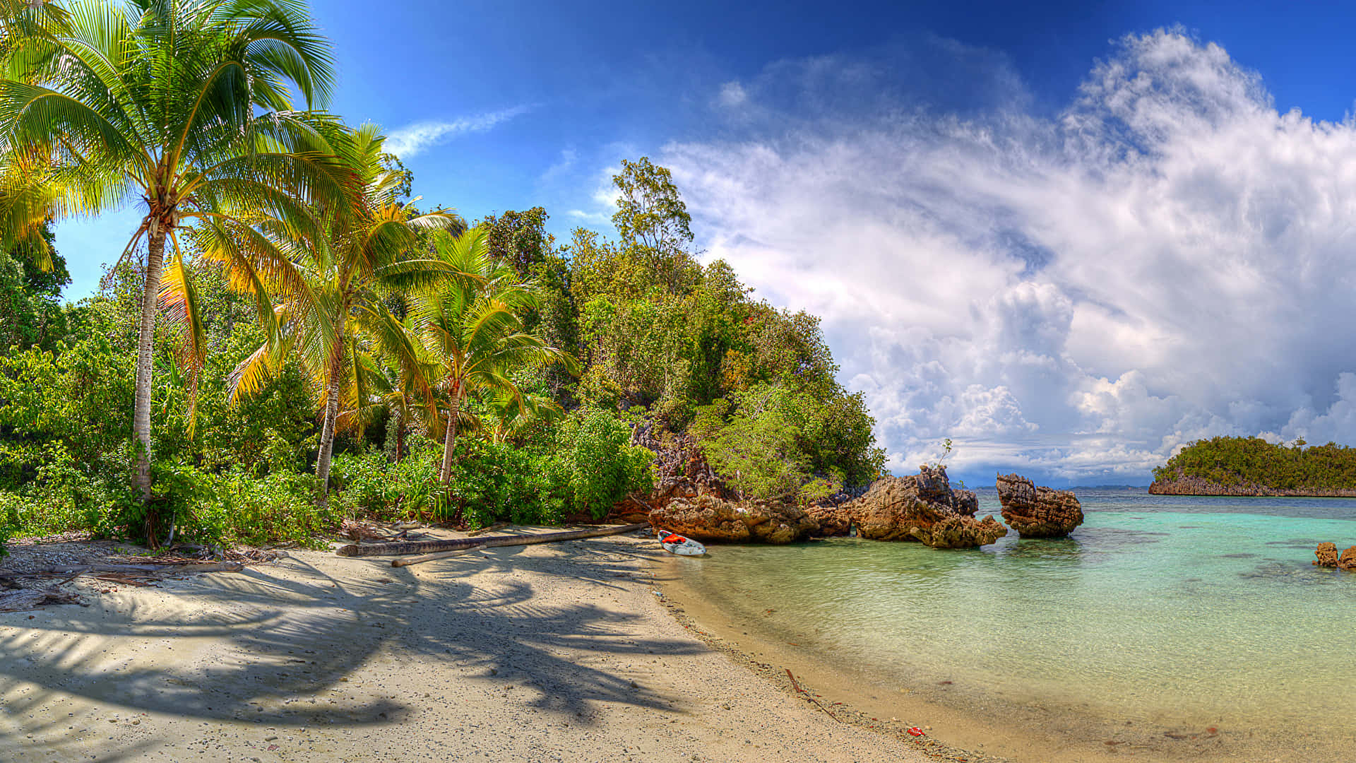 A Sandy Beach With Palm Trees