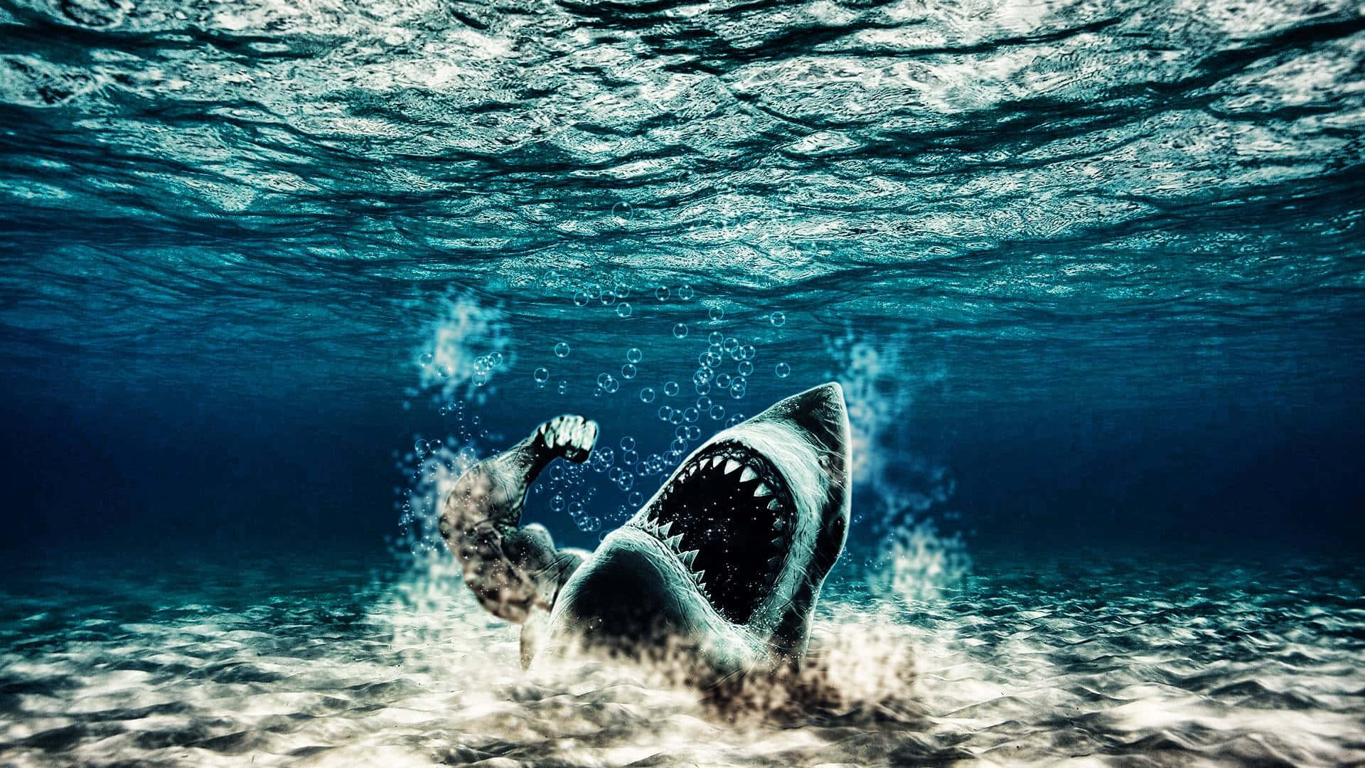 A Scary Shark Lurking Just Under The Surface Background