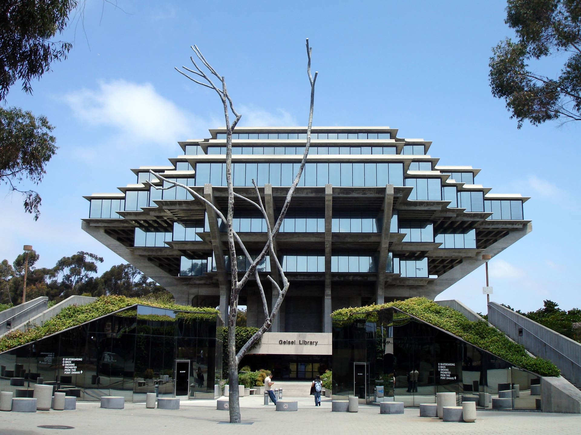 A Scenic And Peaceful View Of The University Of California, San Diego (ucsd) Campus During Daytime. Background