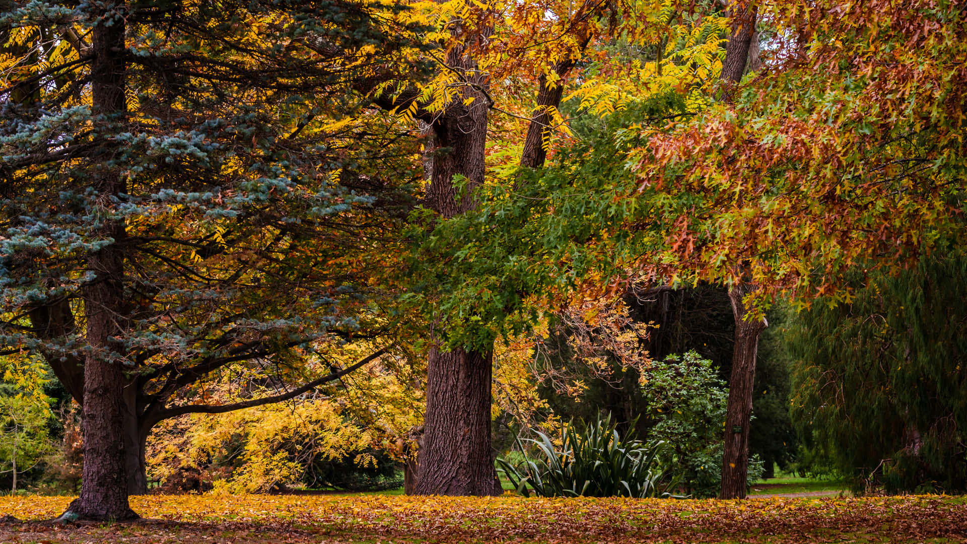 A Scenic Autumn Landscape Of Varying Colors Background