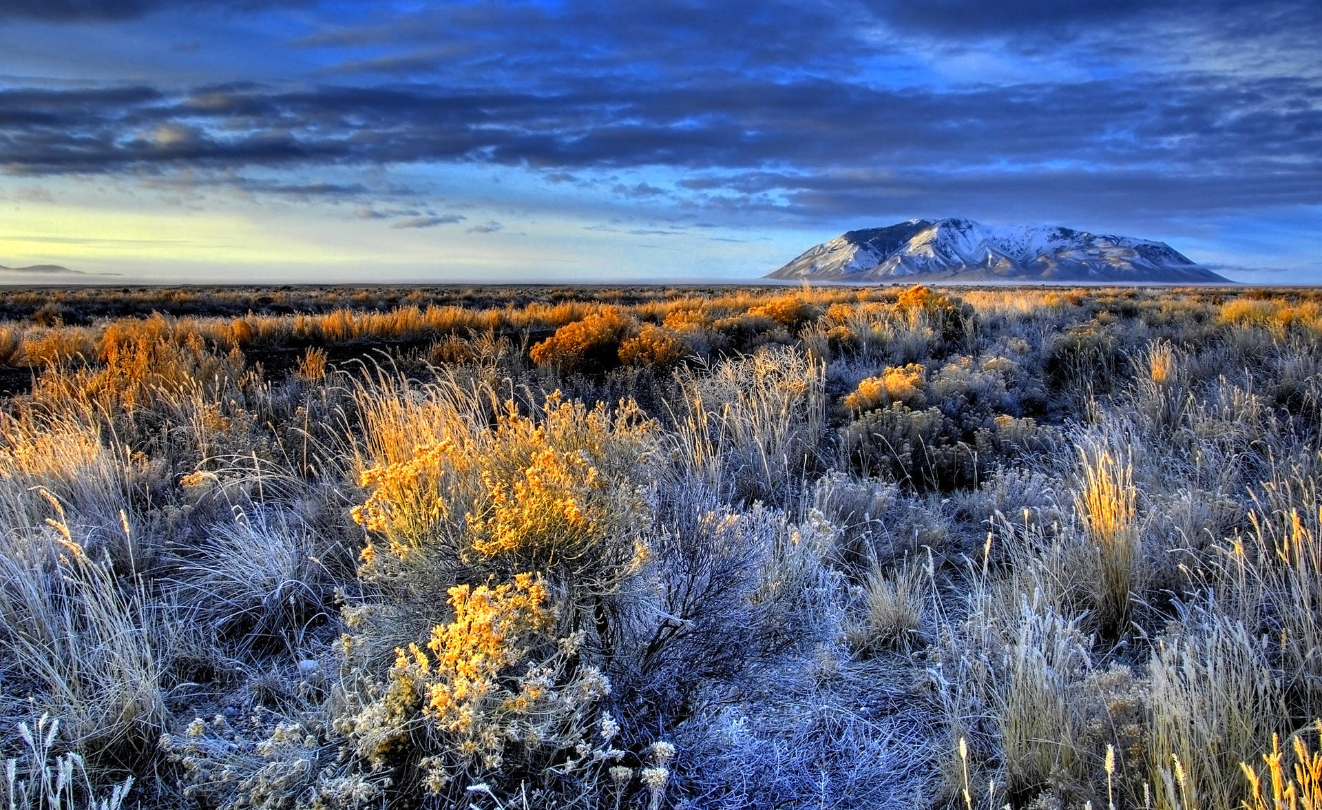 A Scenic Bushland In Idaho Background