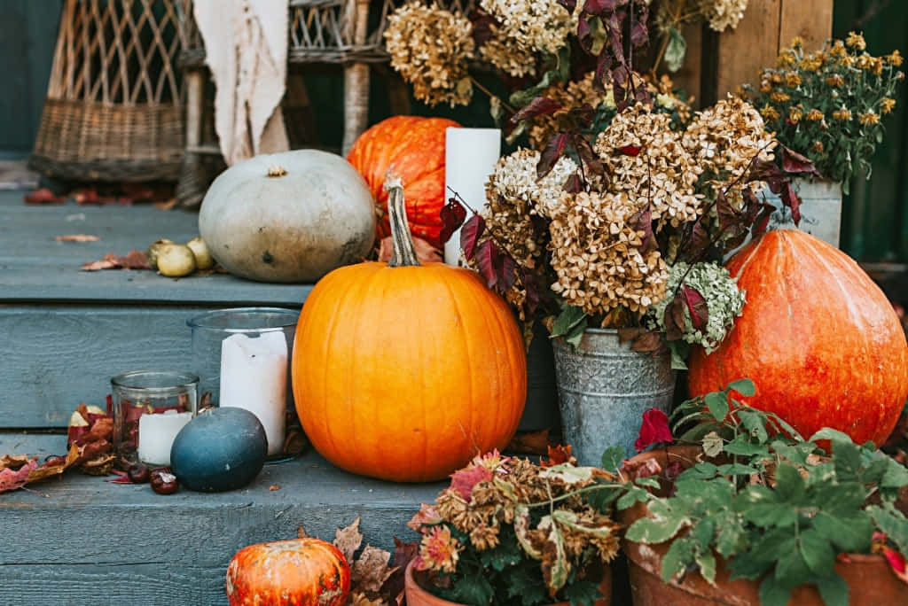 A Scenic Display Of Colorful Fall Pumpkins Background