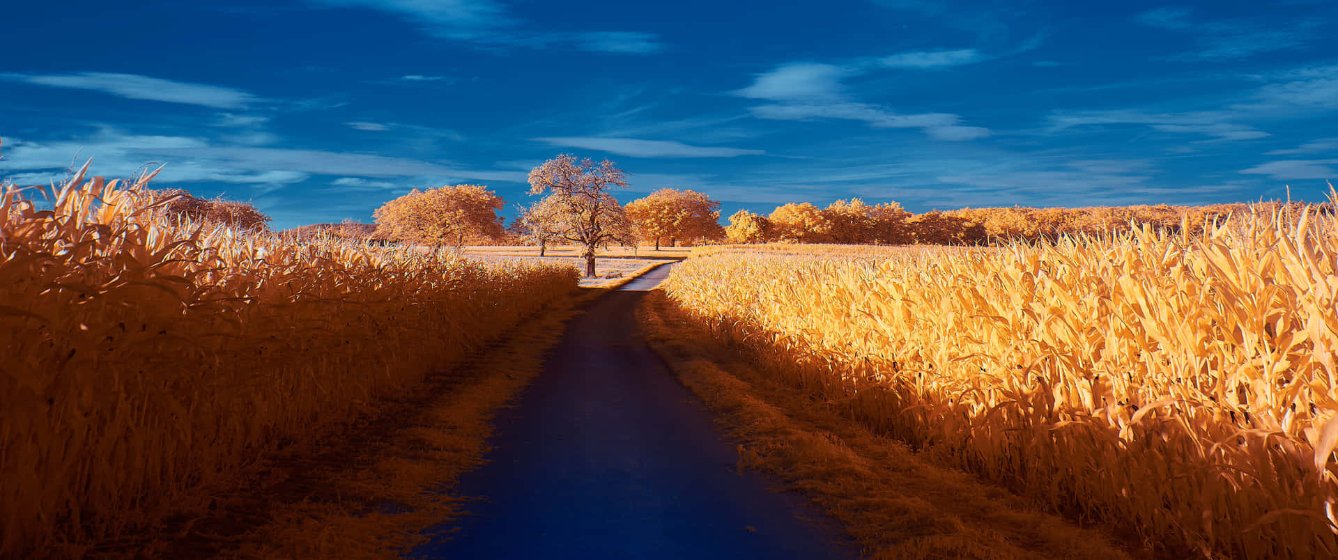 A Scenic View Of An Autumn Landscape. Background