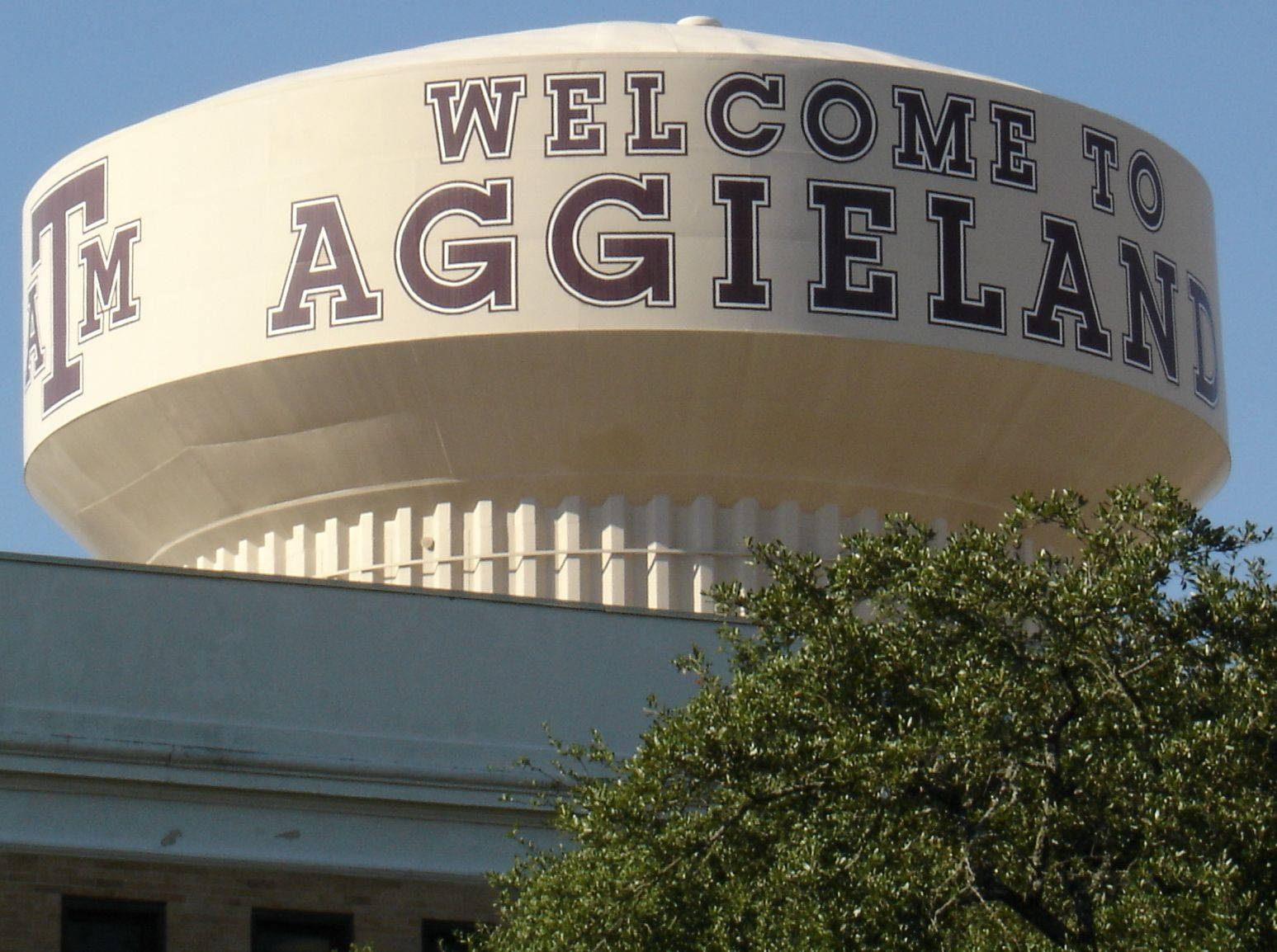 A Scenic View Of Texas A&m University Campus