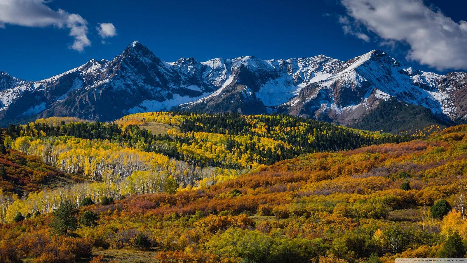 A Scenic Wilderness In Denver Background